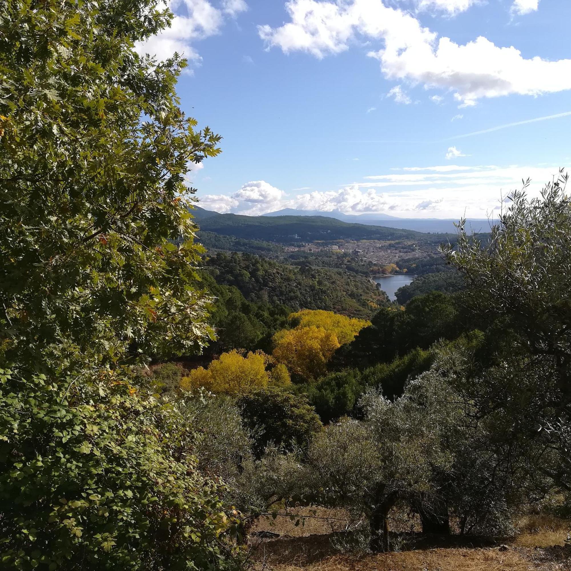La Albarea By #Cherrygredos El Arenal  Exterior foto