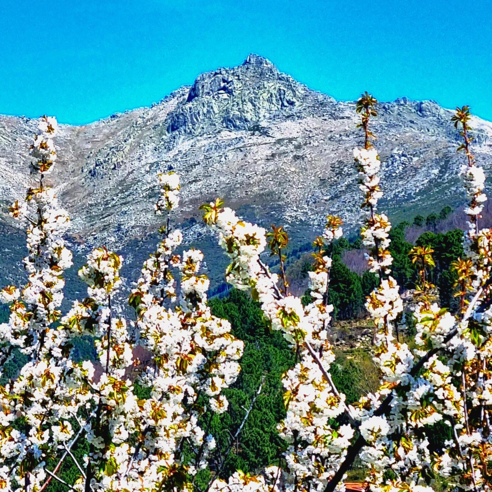 La Albarea By #Cherrygredos El Arenal  Exterior foto