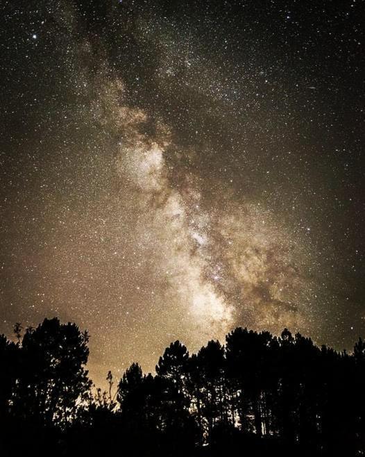 La Albarea By #Cherrygredos El Arenal  Exterior foto